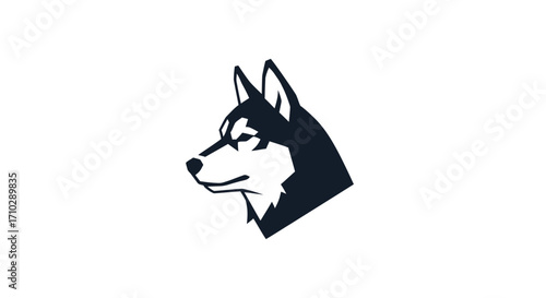 Siberian Husky Head Profile - A Study in Canine Focus.