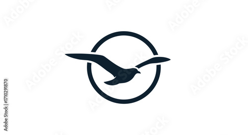 Seagull in flight, circle logo design element.