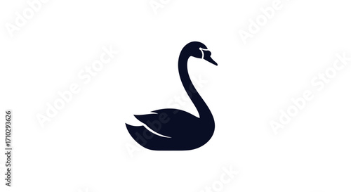 Elegant black swan silhouette isolated on white background.