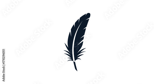 Elegant dark feather isolated on white background simple graphic.