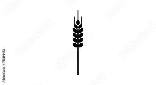 Black wheat plant illustration on white background showing the grain.