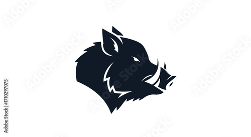 Close-up profile view of a wild boars head, strong and fierce.