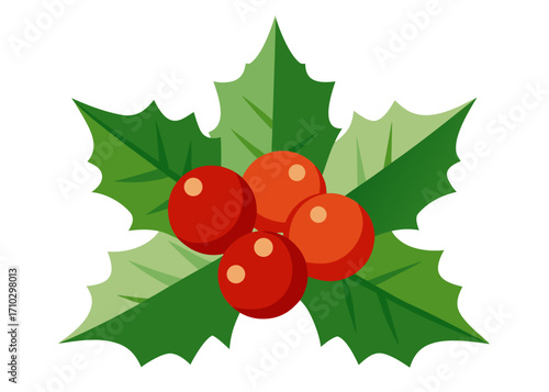 christmas holly with red berries