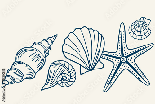 Hand drawn nautical sea shells and starfish collection on light background