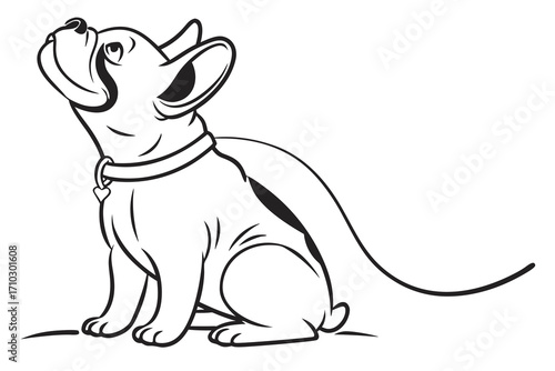 Stylized french bulldog sitting and looking up with a cape