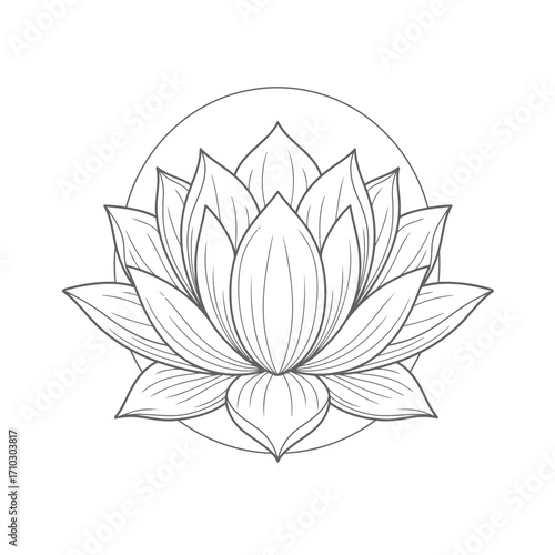 Detailed illustration of a beautiful lotus flower, perfect for yoga or meditation-themed designs