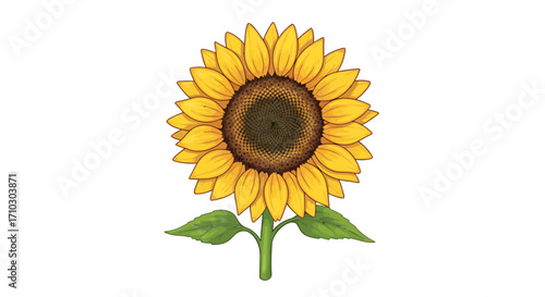 Illustration of a vibrant sunflower with detailed petals and green stem isolated against white