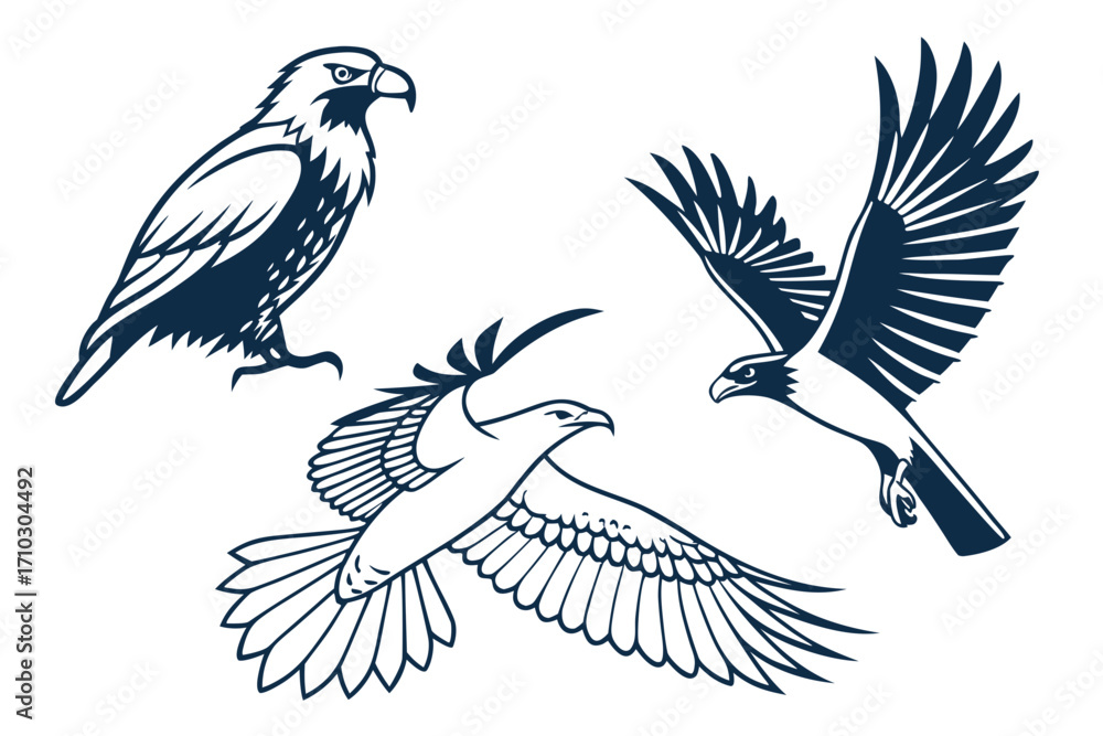 Fototapeta premium Three stylized eagles in navy blue on a white background