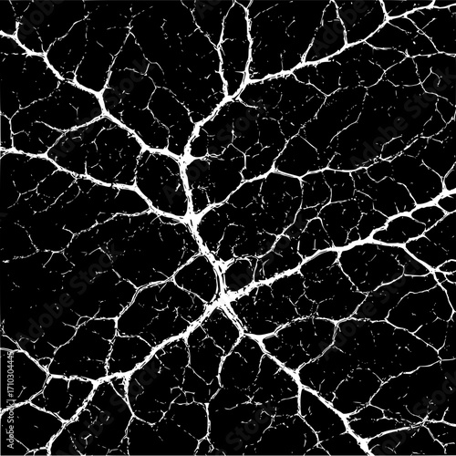 White cracked pattern on black background creating a vein like or lightning bolt like appearance overall