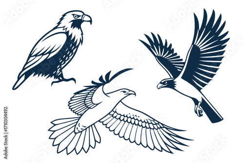 Three stylized eagles in navy blue on a white background