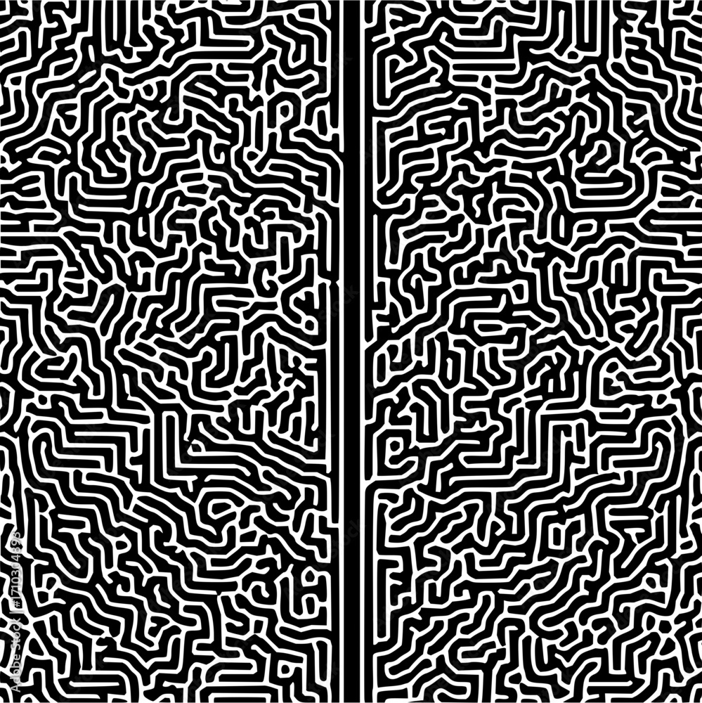 Obraz premium Black and white abstract maze like pattern with two vertical lines dividing the image into sections
