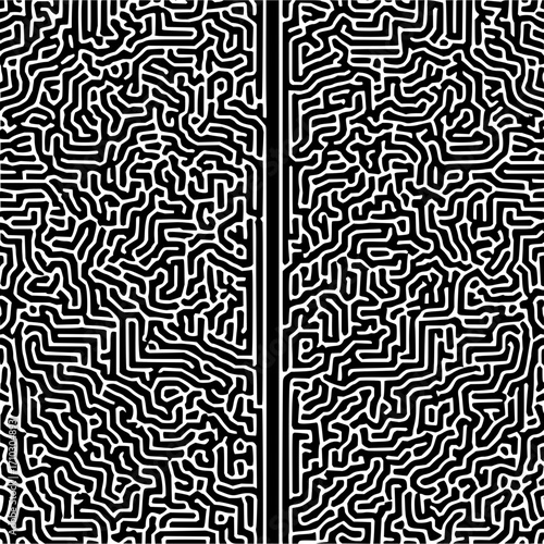 Black and white abstract maze like pattern with two vertical lines dividing the image into sections