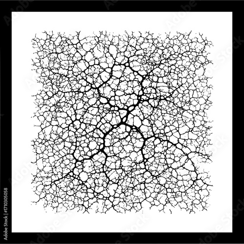 Abstract network of black lines resembling veins or roots on a white background creating a complex pattern