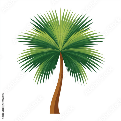 Vibrant tropical palm tree vector illustration, isolated on a clean white background. Perfect for summer, vacation, and exotic design projects, symbolizing relaxation and natural beauty
