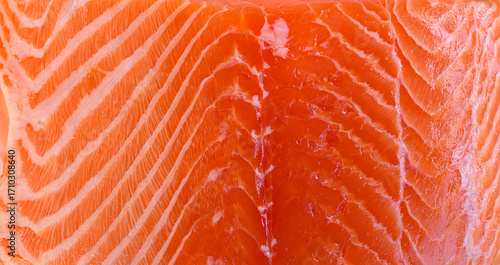 Closeup of fresh salmon highlighting the texture of the meat
