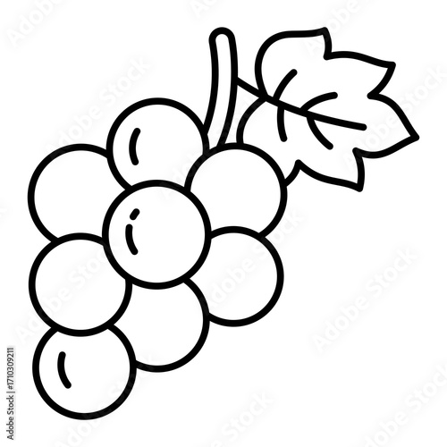 Grape Icon Vector Illustration Line Style
