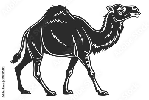 Stylized black and white illustration of a dromedary camel walking