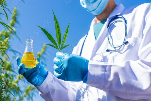 A doctor holding a medical cannabis study. Selective focus.