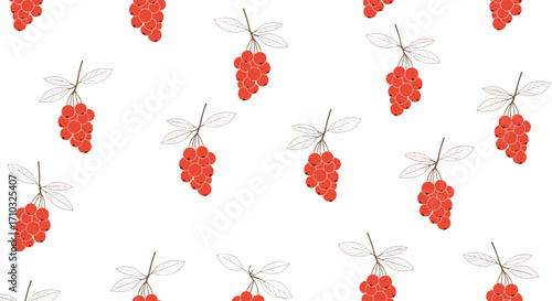 A sweet and juicy collection of ripe red grapes on a white background.