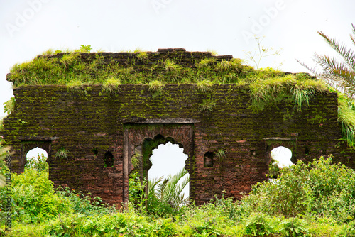 Green moss on old brick wall. Old brown brick wall with green moss and plants