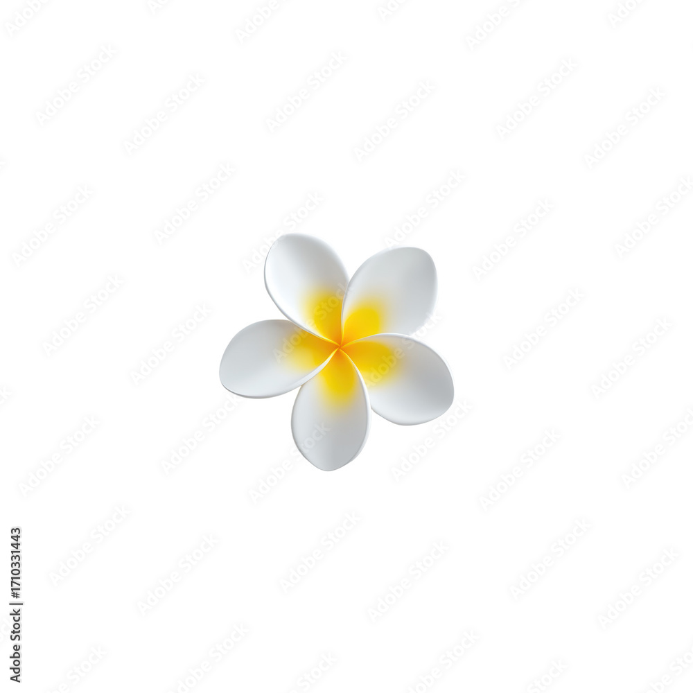 Fototapeta premium Beautiful White Flower with Yellow Accents on Dark Background