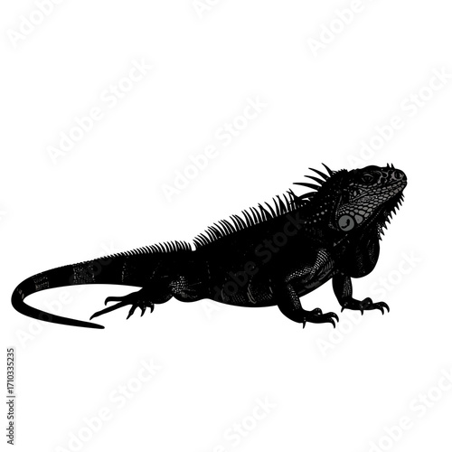 Black iguana silhouette isolated on white background
