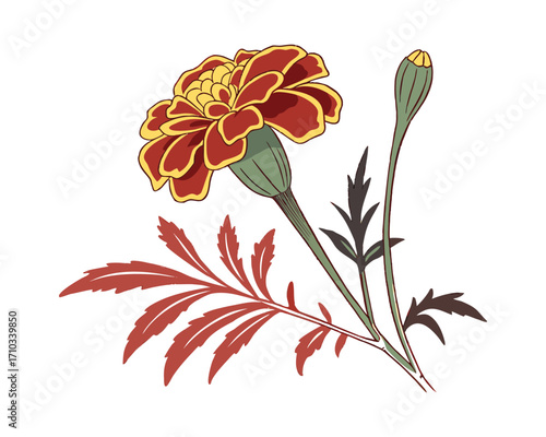 "Golden Marigold Blossoms Brighten Gardens with Vibrant Beauty"