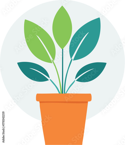 plant, pot, leaf, tree, flower, isolated, growth, nature, houseplant, potted, grow, money, gardening, flowerpot, flora, botany, growing, life, leaves, garden, foliage, soil, small, green, home