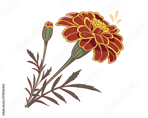 "Golden Marigold Blossoms Brighten Gardens with Vibrant Beauty"