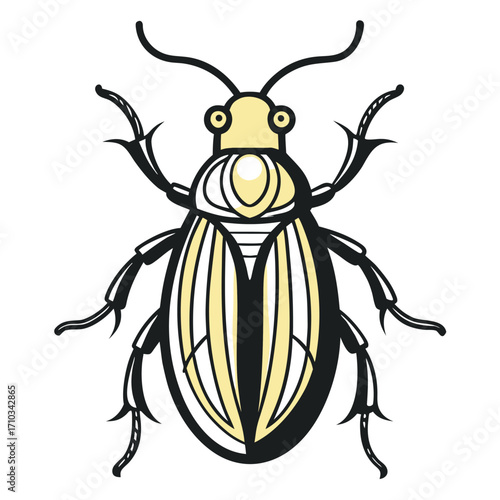 colorado potato beetle