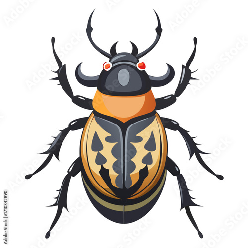 colorado potato beetle