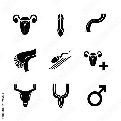 A collection of black glyph icons representing the male and female reproductive systems, fertility, and sexual anatomy.