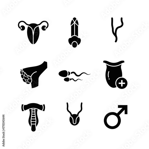 Set of black glyph icons illustrating the male reproductive system, anatomy, and andrology concepts.