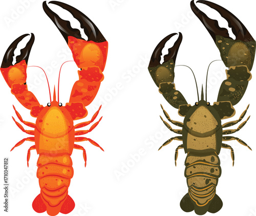 lobster isolated on white