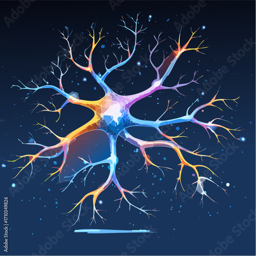 Neuronen & Synapsen