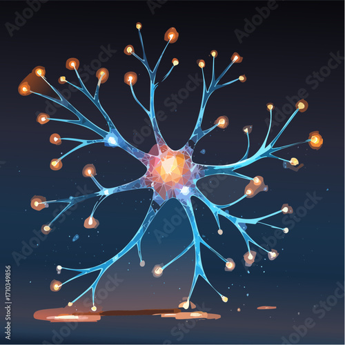 Neuronen & Synapsen