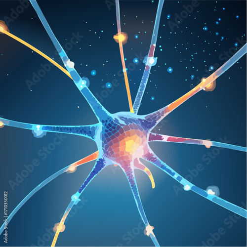 Neuronen & Synapsen