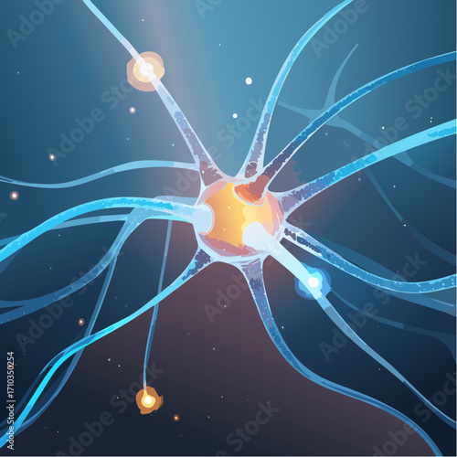 Neuronen & Synapsen