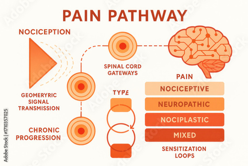 Pain Pathway Diagram - Types, Progression, and Mechanisms