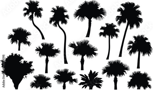 Palm Tree Silhouettes