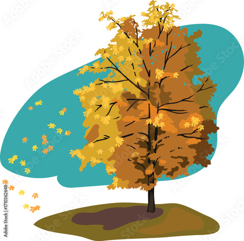 Horse chestnut with bright orange autumn crown and falling leaves