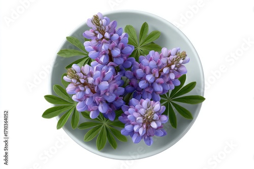 Wallpaper Mural Top View of Purple Lupine Flowers in a Bowl bloom blossom Torontodigital.ca