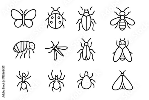Insect and bug line icon collection. Vector symbols of butterfly, ladybug, bee, ant, spider, fly, mosquito. Simple linear pictogram set with editable stroke for web and ui.