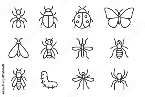 Insect icon collection. Bug outline pictograms with editable stroke. Simple line art vector set. Ant, beetle, ladybug, butterfly, moth, bee, mosquito, spider, wasp, fly.