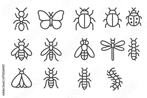 Insect outline icon set. Bug line art symbols collection with ant, butterfly, bee, ladybug, beetle, dragonfly. Vector graphic elements with editable stroke for design.