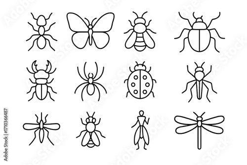 Insect and bug icon collection. Set of simple outline vector illustrations. Ant, butterfly, bee, spider, ladybug, dragonfly, beetle. Editable stroke line art for design.