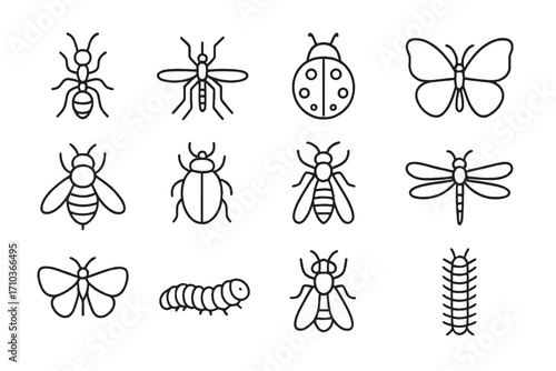 Insect icon set. Bug line collection. Ant, mosquito, ladybug, butterfly, bee, beetle, wasp, dragonfly, fly, caterpillar. Simple outline pictogram. Editable stroke vector.