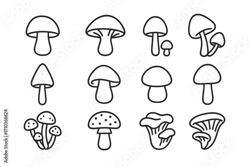 Mushroom collection thin line icons editable stroke for web sites books cards apps vector cartoon illustration transparent background ordered set nature fungi forest