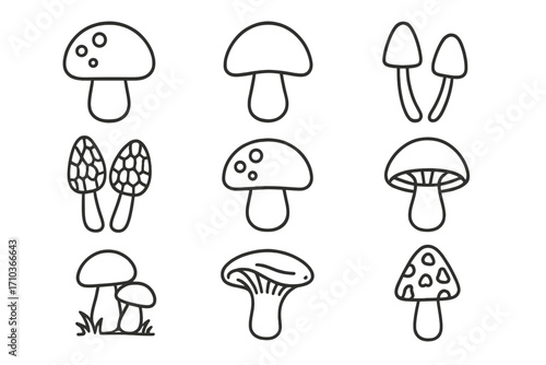 Mushroom line icon bundle, outline mushroom signs set for graphic design, web design, apps, adverts, various cards, vector cartoon illustration with transparent background