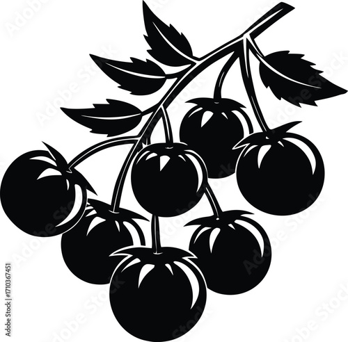 Fresh ripe plums, cherries, and olives branch with leaves, a natural and healthy summer fruit vector illustration